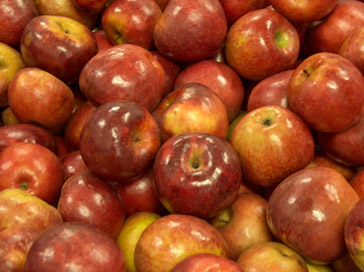 Ritter Farms apples