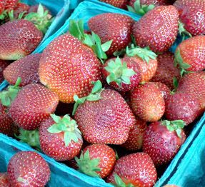 Ritter Farms Strawberries