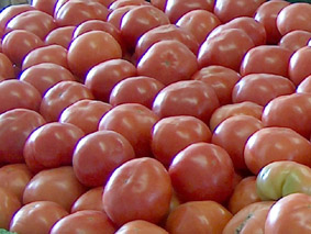 Ritter Farms Tomatoes
